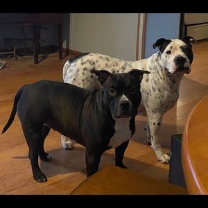 Meet your Posher, Joanna